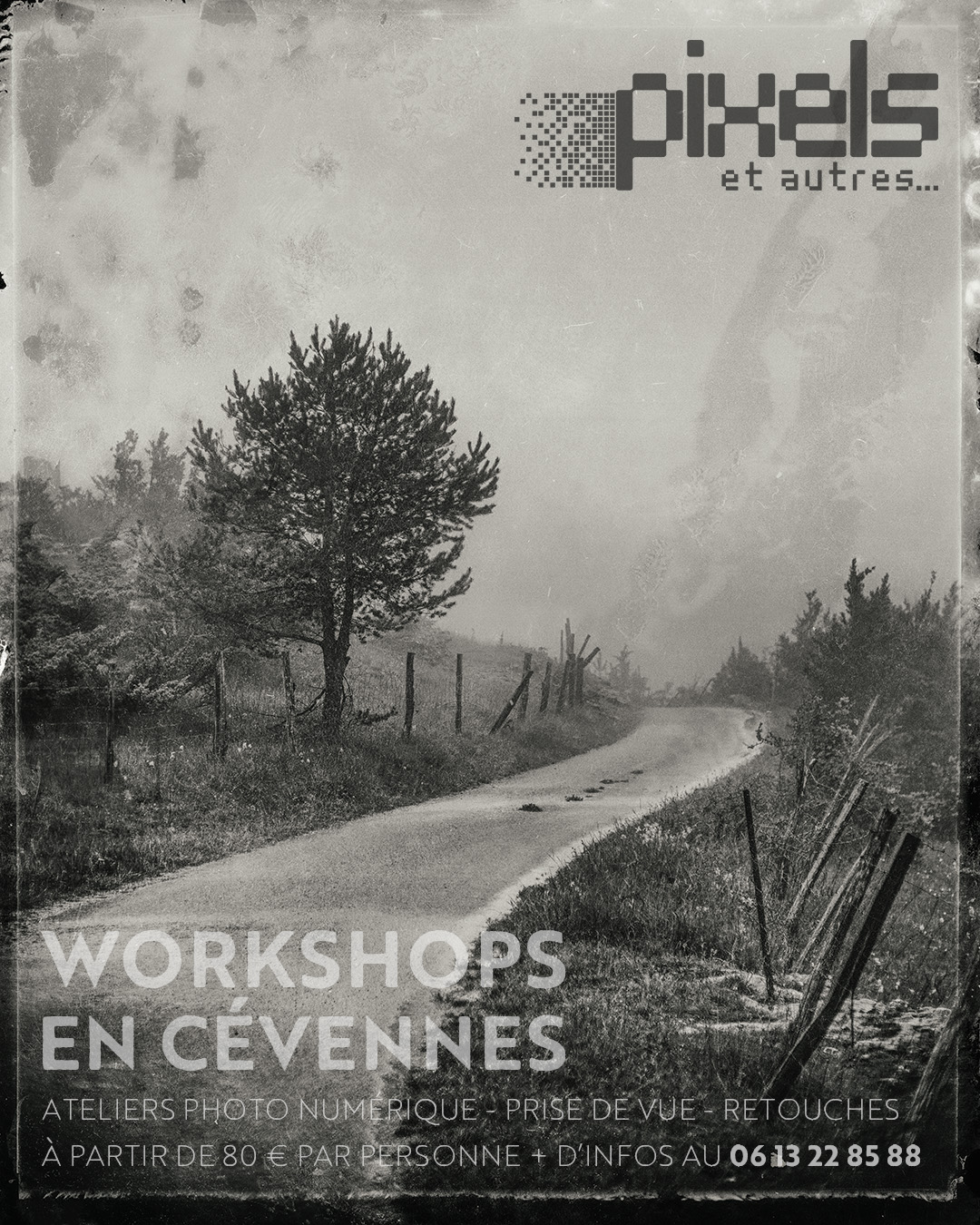 Workshops photo en Cévennes